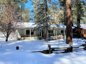 Summit Bearadise, Big Bear Lake